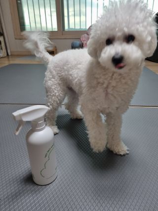 [푸푸몬스터] 비건 펫 데오 스프레이(탈취제) 500ml (유향/무향 택 1) — 4점을 준 리뷰어가 2022년 6월 올린 사용 사진
