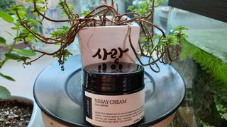 공팔조아님이 올린 리뷰 사진 4