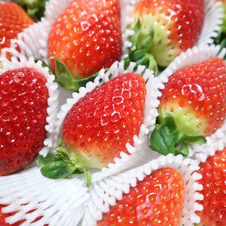 옳음 딸기 논산 설향 딸기 900g 산지직송 — 5점을 준 리뷰어가 2021년 1월 올린 사용 사진