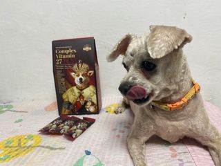 쥬롱이님이 올린 리뷰 사진 1