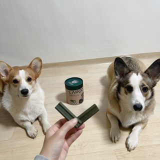 댜밍님이 올린 리뷰 사진 1