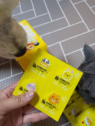 보리엄마님이 올린 리뷰 사진 4