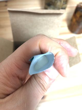 마요마요님이 올린 리뷰 사진 2