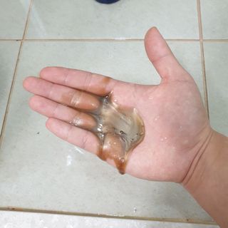 다슈코리아 다슈 데일리 단백질 한방 두피 골드 샴푸 500ml — 5점을 준 리뷰어가 2021년 1월 올린 사용 사진