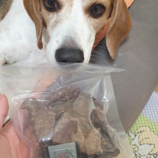 beaglelove님이 올린 리뷰 사진 2