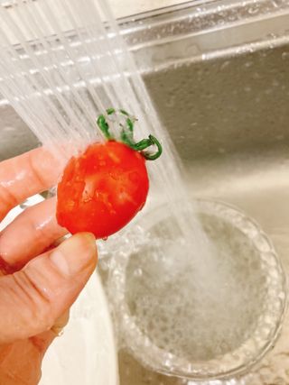 레드닥터 대추방울토마토 + 통째로 동결건조한 대추방울토마토 — 4.5점을 준 리뷰어가 2022년 12월 올린 사용 사진