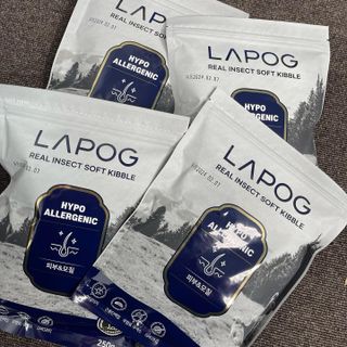 [푸디웜] 라포그 리얼인섹트 소프트키블 스킨 1KG — 5점을 준 리뷰어가 2022년 9월 올린 사용 사진