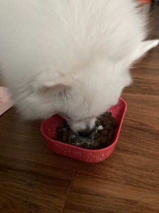 민트초코님이 올린 리뷰 사진 3