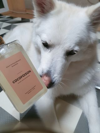 딸랑구둘🥰님이 올린 리뷰 사진 3