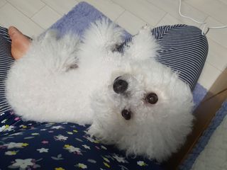 김이설님이 올린 리뷰 사진 2