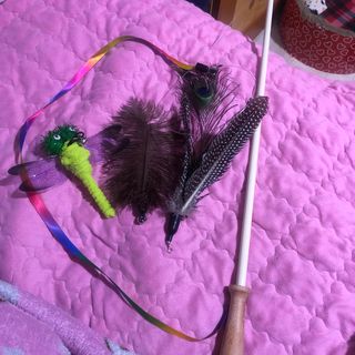 c1bzzvd5mkg님이 올린 리뷰 사진 4