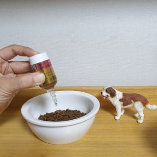 무지조타 반려동물용 꽃으로만든영양제 헬리코디펜스 15ml — 5점을 준 리뷰어가 2021년 8월 올린 사용 사진
