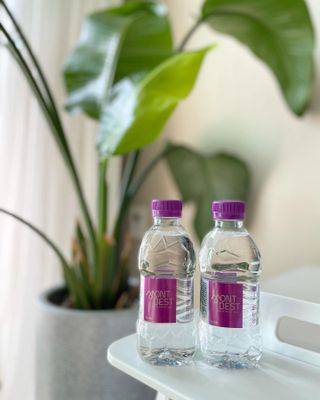 몽베스트 [MONTBEST] 330mL 20병 — 5점을 준 리뷰어가 2021년 10월 올린 사용 사진