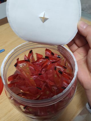 젤리벨리 젤리스틱 어쏘티드 900g — 5점을 준 리뷰어가 2022년 11월 올린 사용 사진