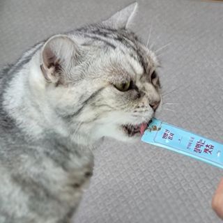 페페로니 잘 먹는 캣츄 - 원양선 참치 24개입 — 5점을 준 리뷰어가 2021년 7월 올린 사용 사진