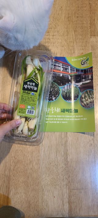 논지님이 올린 리뷰 사진 1