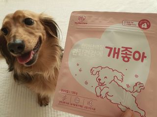 My Pet Care 천연단백질 관절건강에 개좋아 — 5점을 준 리뷰어가 2021년 1월 올린 사용 사진