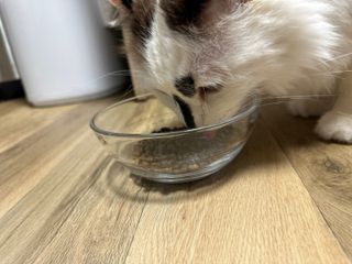 뿌아님이 올린 리뷰 사진 3