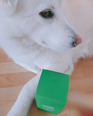 블랙페블 남성청결제 올인원 바디워시 클린 웨이브 — 5점을 준 리뷰어가 2021년 4월 올린 사용 사진