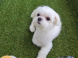 도롱님이 올린 리뷰 사진 4