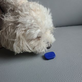 캐스퍼님이 올린 리뷰 사진 3