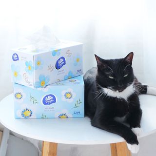 모리님이 올린 리뷰 사진 1