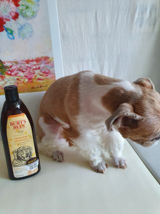 기룡이님이 올린 리뷰 사진 2