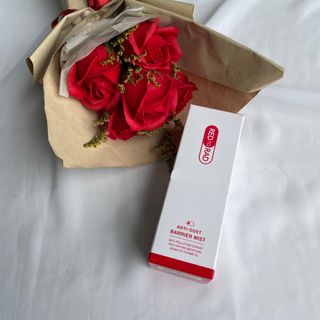 레드투래드 안티더스트 배리어 미스트 55ml — 5점을 준 리뷰어가 2021년 6월 올린 사용 사진