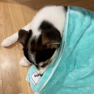 CW님이 올린 리뷰 사진 1