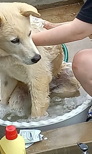 덕구두리왕자님이 올린 리뷰 사진 2