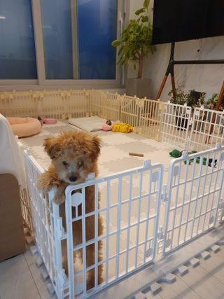 효효님이 올린 리뷰 사진 1