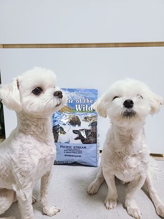 자기전님이 올린 리뷰 사진 1