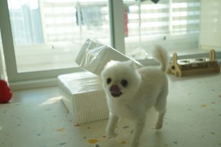 소보이님이 올린 리뷰 사진 2