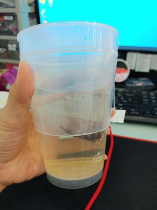 뽀글포글2님이 올린 리뷰 사진 4