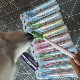 요하님이 올린 리뷰 사진 4