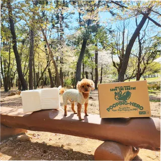 사랑해안시영님이 올린 리뷰 사진 1