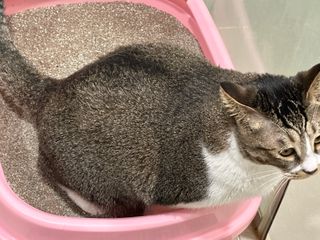 트레이드마크님이 올린 리뷰 사진 1
