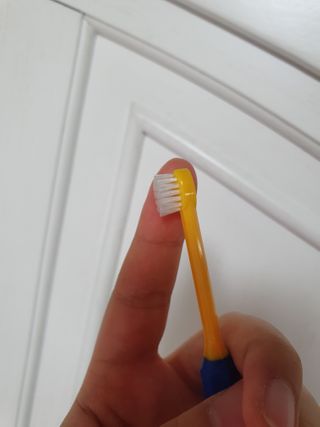 뽀곰님이 올린 리뷰 사진 2