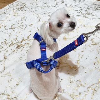 banew님이 올린 리뷰 사진 1