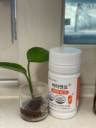프리마인 성큼다가온 봄, 이너뷰티를 챙겨야 피부도 화사하게, 컨디션도 활기차게. 흡수율을 높인 고효율 비타민. — 4.5점을 준 리뷰어가 2023년 3월 올린 사용 사진