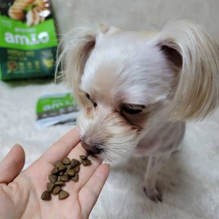 mejoom님이 올린 리뷰 사진 1