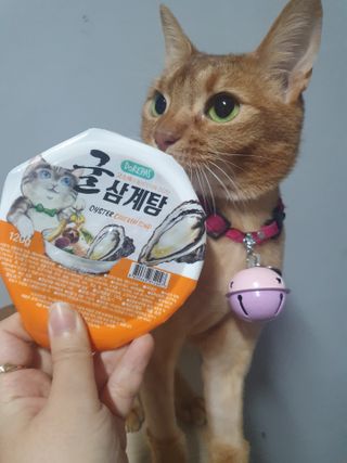 민희요정님이 올린 리뷰 사진 2