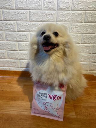 My Pet Care 천연단백질 관절건강에 개좋아 — 5점을 준 리뷰어가 2021년 2월 올린 사용 사진