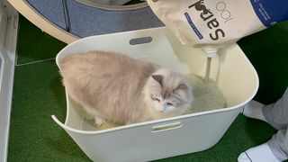 쇼니님이 올린 리뷰 사진 3