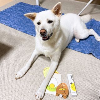 나래님이 올린 리뷰 사진 1