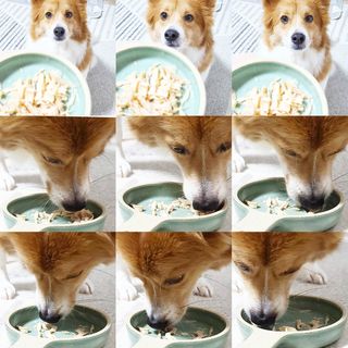 림림님이 올린 리뷰 사진 3