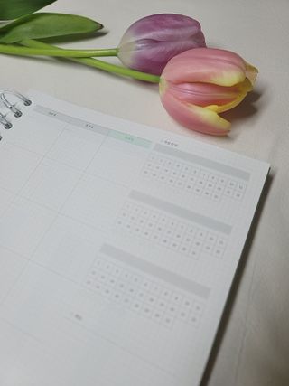 룡쓰스토리님이 올린 리뷰 사진 3