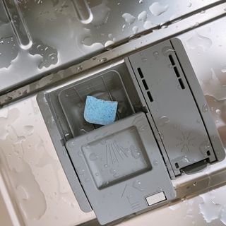 코라리님이 올린 리뷰 사진 4