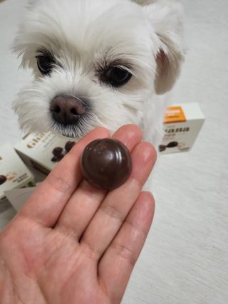 뽀오오옹님이 올린 리뷰 사진 1