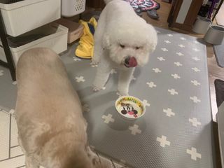 분홍봉구맘님이 올린 리뷰 사진 4